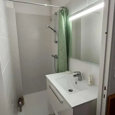 Appartement 3p Accueillant Animaux A - Fr-1-236-184 *