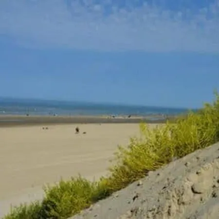 شقة 3p Accueillant Animaux A Stella-plage - Fr-1-236-184 كوسيك