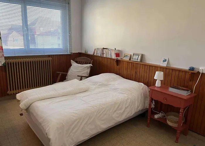 3p Accueillant Animaux A - Fr-1-236-184 Appartamento