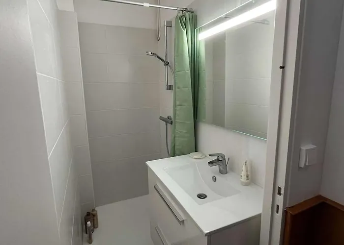 Appartamento 3p Accueillant Animaux A - Fr-1-236-184 *